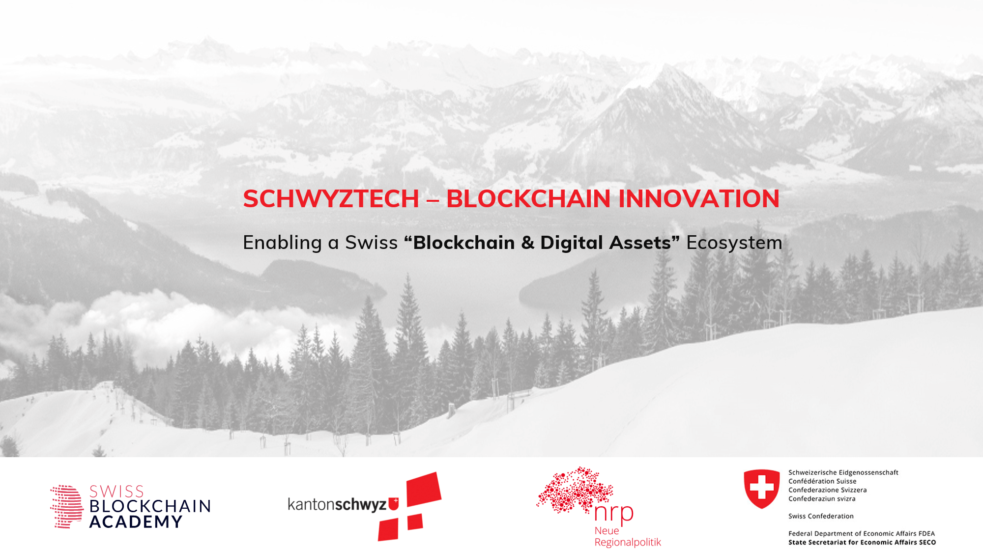 Schwyztech Main Picture